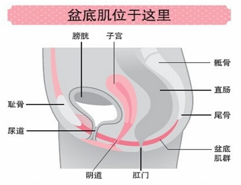 SKEA——Get一个“游戏”新体位